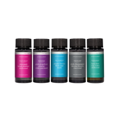 Miami Collection Pro-Pod Discovery Set